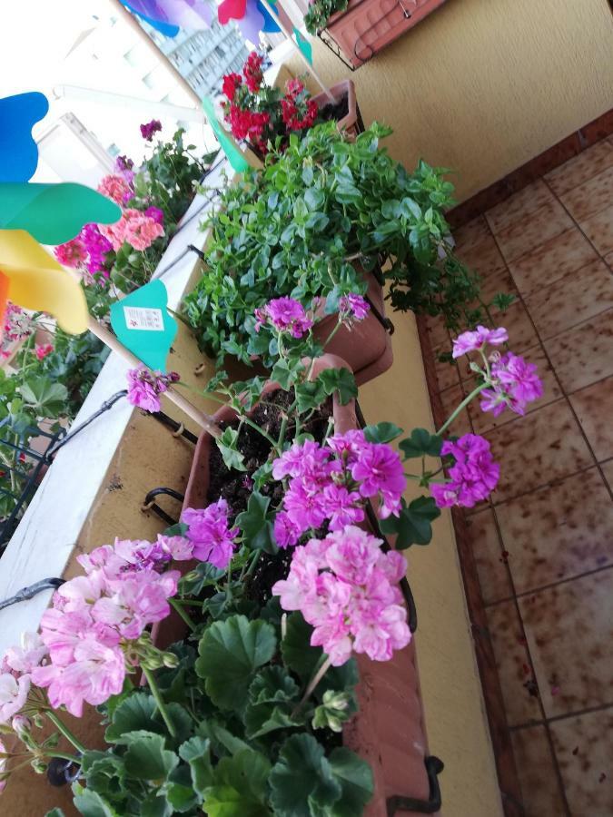 B&B Casa Mia Alghero Kültér fotó